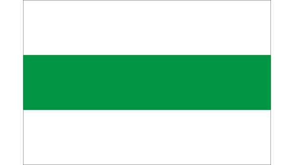 Vlag gemeente Groningen - in kleur op transparante achtergrond - 600 * 337 pixels 